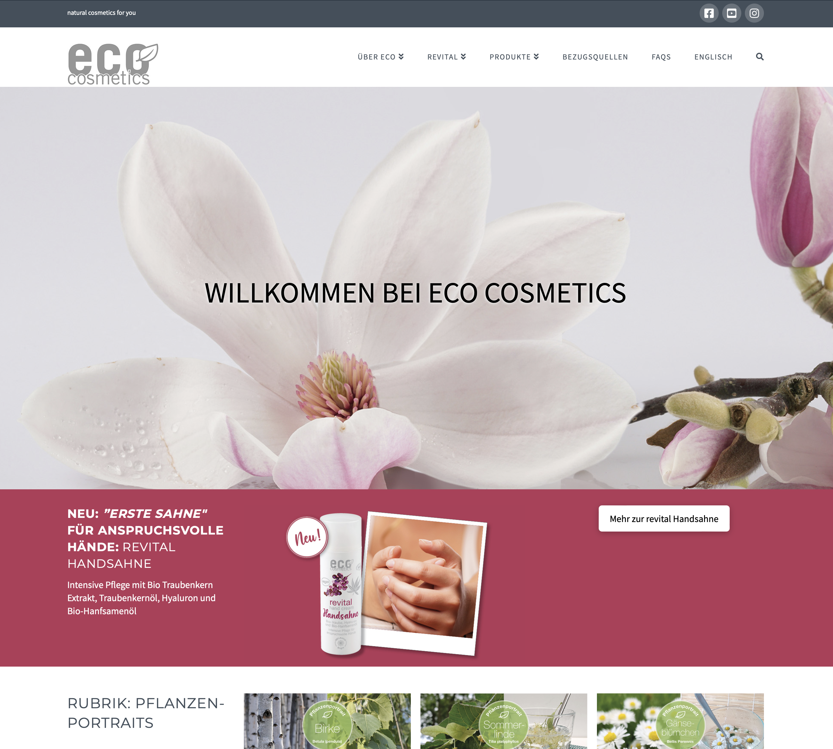 Internet-Auftritt eco-cosmetics